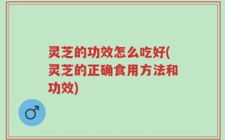灵芝的功效怎么吃好(灵芝的正确食用方法和功效)
