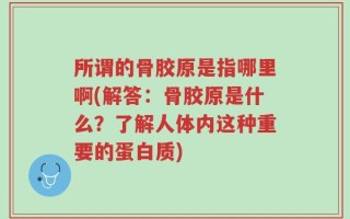 所谓的骨胶原是指哪里啊(解答：骨胶原是什么？了解人体内这种重要的蛋白质)