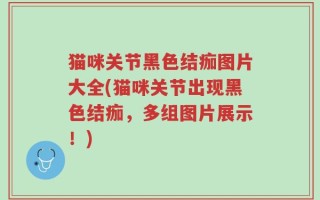 猫咪关节黑色结痂图片大全(猫咪关节出现黑色结痂，多组图片展示！)