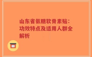 山东省氨糖软骨素贴：功效特点及适用人群全解析