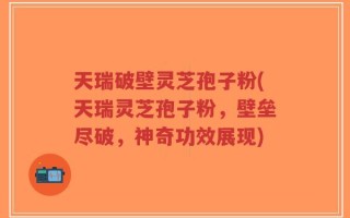 天瑞破壁灵芝孢子粉(天瑞灵芝孢子粉，壁垒尽破，神奇功效展现)