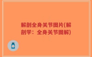解剖全身关节图片(解剖学：全身关节图解)