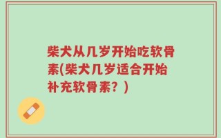 柴犬从几岁开始吃软骨素(柴犬几岁适合开始补充软骨素？)
