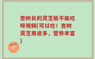 杏树长的灵芝能不能吃呀视频(可以吃！杏树灵芝用途多，营养丰富)