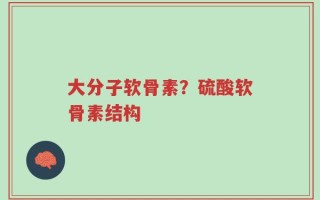 大分子软骨素？硫酸软骨素结构