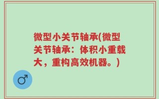 微型小关节轴承(微型关节轴承：体积小重载大，重构高效机器。)