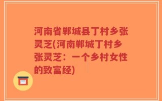 河南省郸城县丁村乡张灵芝(河南郸城丁村乡张灵芝：一个乡村女性的致富经)