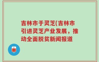 吉林市于灵芝(吉林市引进灵芝产业发展，推动全面脱贫新闻报道