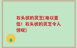 石头状的灵芝(难以置信！石头状的灵芝令人惊叹)