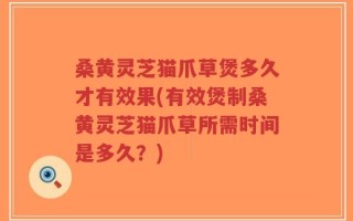 桑黄灵芝猫爪草煲多久才有效果(有效煲制桑黄灵芝猫爪草所需时间是多久？)