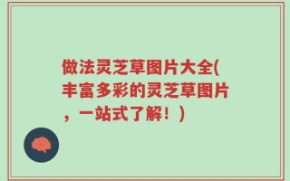做法灵芝草图片大全(丰富多彩的灵芝草图片，一站式了解！)
