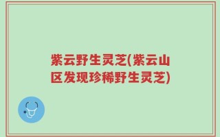 紫云野生灵芝(紫云山区发现珍稀野生灵芝)