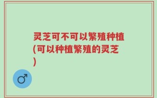 灵芝可不可以繁殖种植(可以种植繁殖的灵芝)