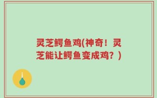 灵芝鳄鱼鸡(神奇！灵芝能让鳄鱼变成鸡？)