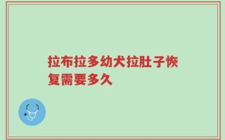 拉布拉多幼犬拉肚子恢复需要多久