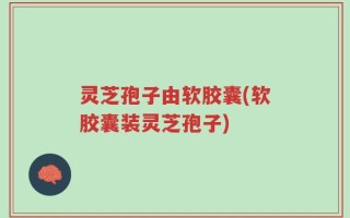 灵芝孢子由软胶囊(软胶囊装灵芝孢子)