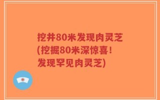 挖井80米发现肉灵芝(挖掘80米深惊喜！发现罕见肉灵芝)