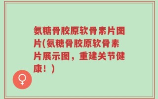 氨糖骨胶原软骨素片图片(氨糖骨胶原软骨素片展示图，重建关节健康！)