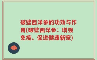 破壁西洋参的功效与作用(破壁西洋参：增强免疫、促进健康新宠)