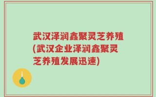武汉泽润鑫聚灵芝养殖(武汉企业泽润鑫聚灵芝养殖发展迅速)