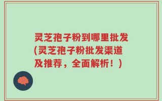 灵芝孢子粉到哪里批发(灵芝孢子粉批发渠道及推荐，全面解析！)