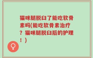 猫咪腿脱臼了能吃软骨素吗(能吃软骨素治疗？猫咪腿脱臼后的护理！)