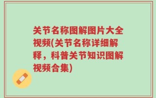 关节名称图解图片大全视频(关节名称详细解释，科普关节知识图解视频合集)