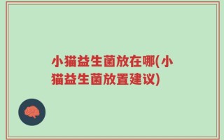 小猫益生菌放在哪(小猫益生菌放置建议)