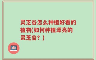 灵芝谷怎么种植好看的植物(如何种植漂亮的灵芝谷？)