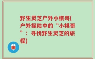 野生灵芝户外小棋哥(户外探险中的“小棋哥”：寻找野生灵芝的旅程)