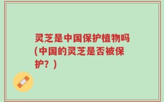 灵芝是中国保护植物吗(中国的灵芝是否被保护？)