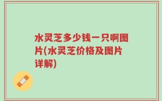 水灵芝多少钱一只啊图片(水灵芝价格及图片详解)