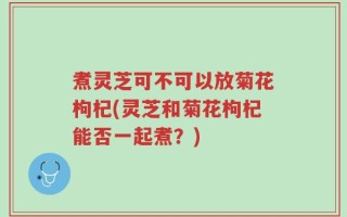 煮灵芝可不可以放菊花枸杞(灵芝和菊花枸杞能否一起煮？)