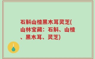 石斛山楂黑木耳灵芝(山林宝藏：石斛、山楂、黑木耳、灵芝)