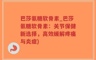 巴莎氨糖软骨素_巴莎氨糖软骨素：关节保健新选择，高效缓解疼痛与炎症)