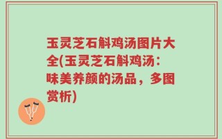 玉灵芝石斛鸡汤图片大全(玉灵芝石斛鸡汤：味美养颜的汤品，多图赏析)