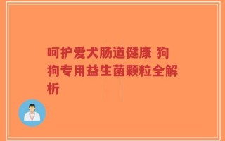 呵护爱犬肠道健康 狗狗专用益生菌颗粒全解析