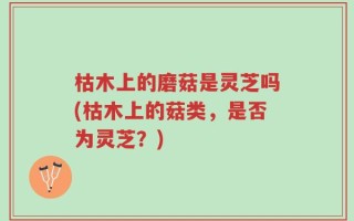 枯木上的磨菇是灵芝吗(枯木上的菇类，是否为灵芝？)
