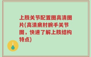 上肢关节配置图高清图片(高清肩肘腕手关节图，快速了解上肢结构特点)