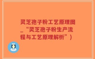 灵芝孢子粉工艺原理图_“灵芝孢子粉生产流程与工艺原理解析”)