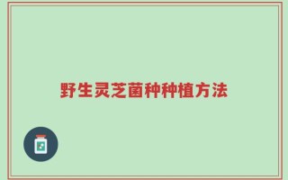 野生灵芝菌种种植方法