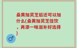 桑黄加灵芝后还可以加什么(桑黄加灵芝佳饮，再添一味滋补好选择)