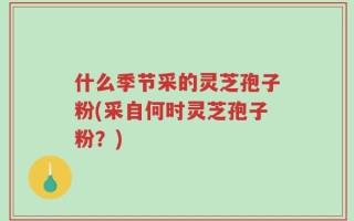什么季节采的灵芝孢子粉(采自何时灵芝孢子粉？)