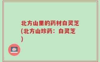 北方山里的药材白灵芝(北方山珍药：白灵芝)