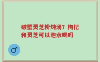 破壁灵芝粉炖汤？枸杞和灵芝可以泡水喝吗