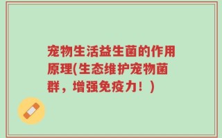 宠物生活益生菌的作用原理(生态维护宠物菌群，增强免疫力！)