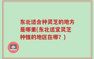 东北适合种灵芝的地方是哪里(东北适宜灵芝种植的地区在哪？)