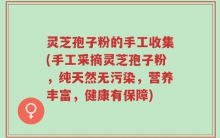 灵芝孢子粉的手工收集(手工采摘灵芝孢子粉，纯天然无污染，营养丰富，健康有保障)