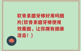 软骨素磨牙棒好用吗图片(软骨素磨牙棒使用效果图，让你拥有健康洁齿！)