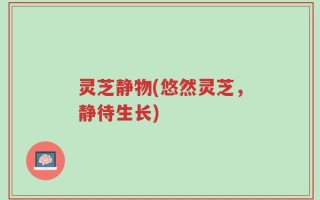 灵芝静物(悠然灵芝，静待生长)